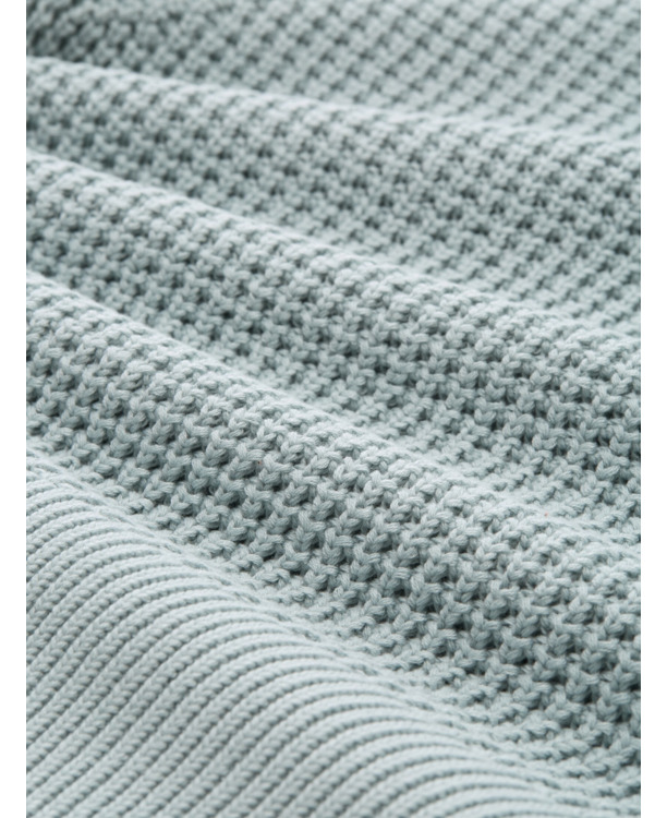 Basis gefermenteerde rijst