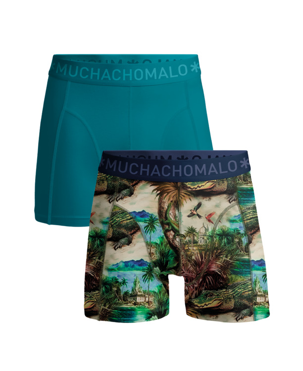 Heren 2-Pack Boxershort Print/Effen Print/Green