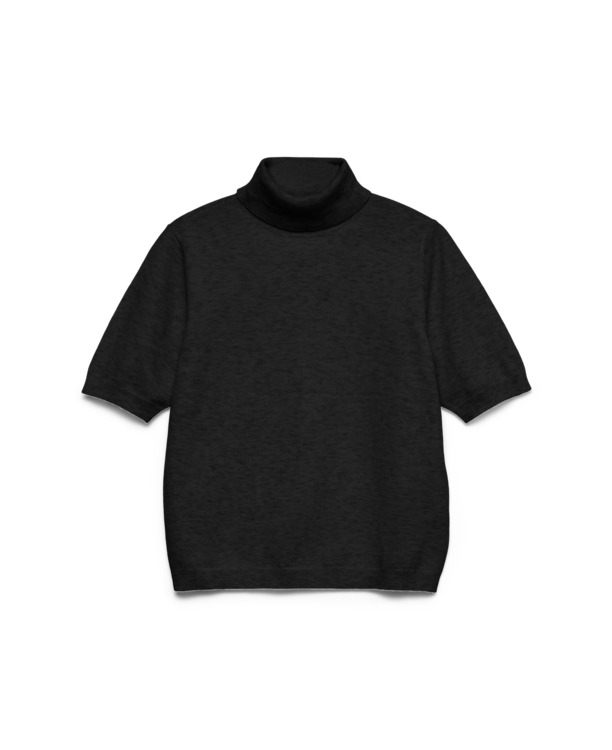 Regular Fit Roll Neck 2/4 Sleeves (2/4)