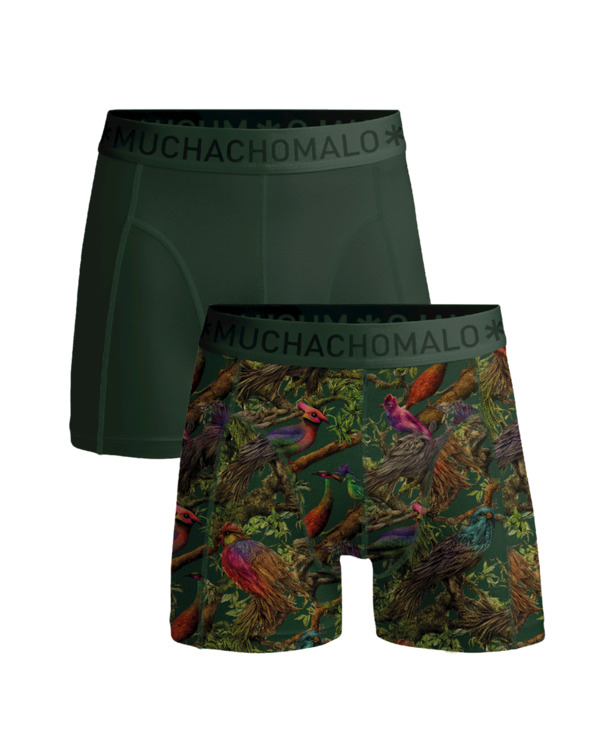 Heren 2-Pack korte print/effen Print/Green