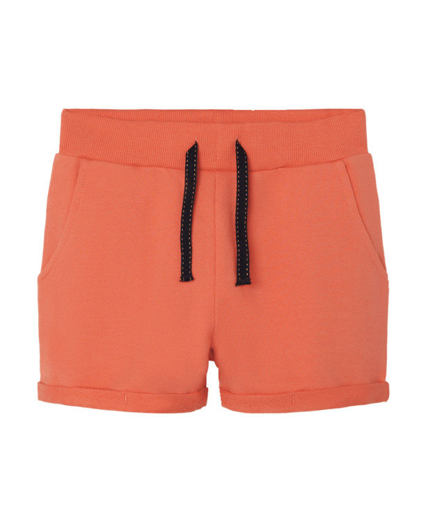 Regular Fit Shorts