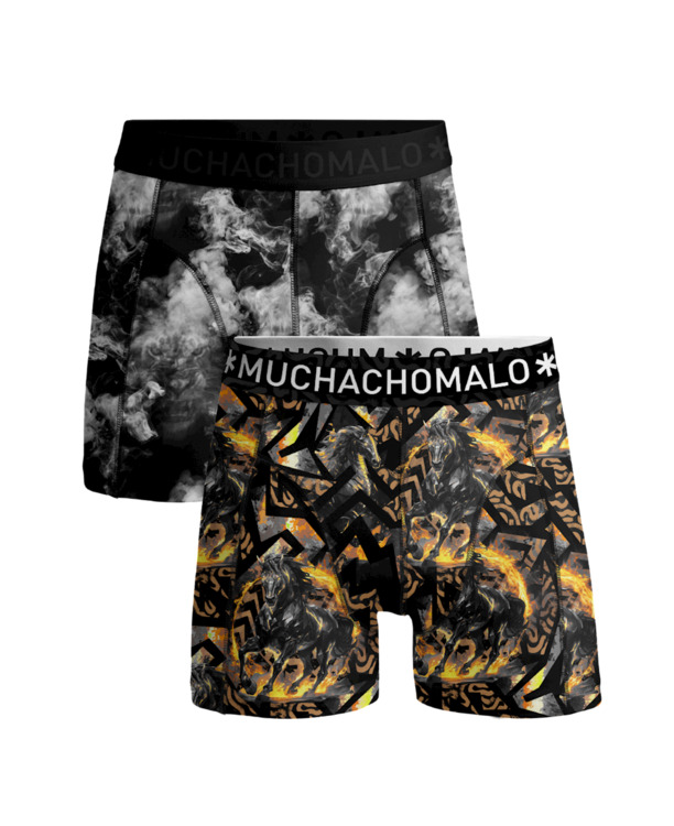 Heren 2-Pack Boxershorts Fireelements Print/Print