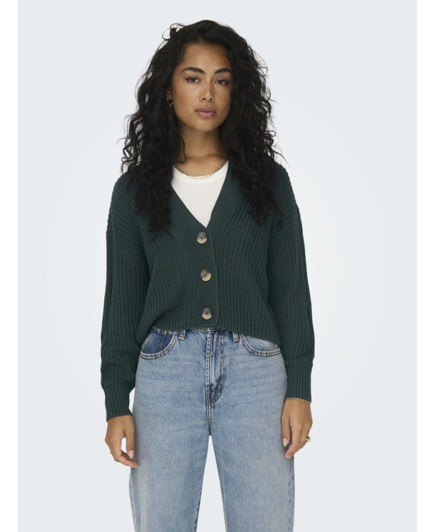 Regular Fit V-Neck Long Sleeves (L/S) Geribbeld vest