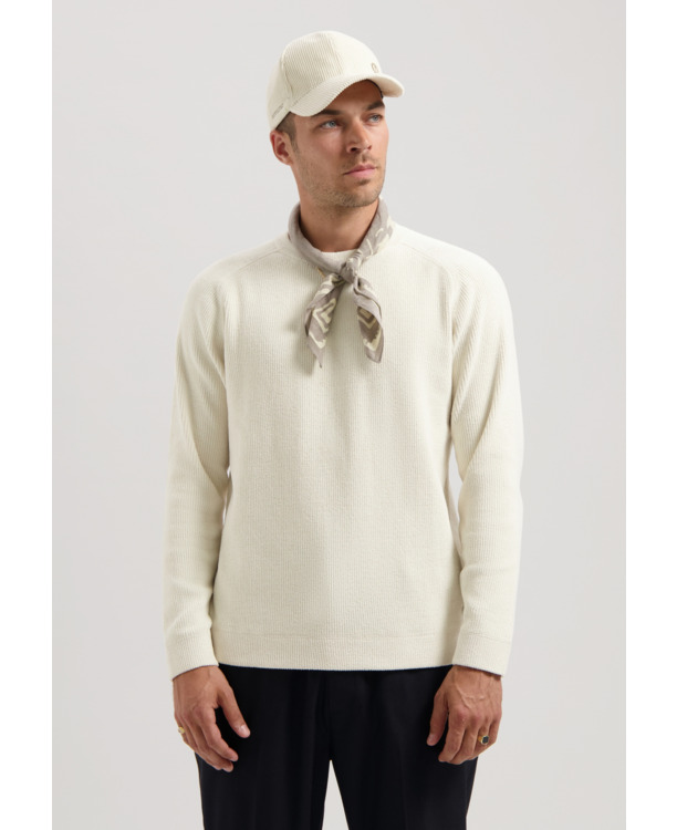 Dstrezzed Heren Trui DS Njord Crew