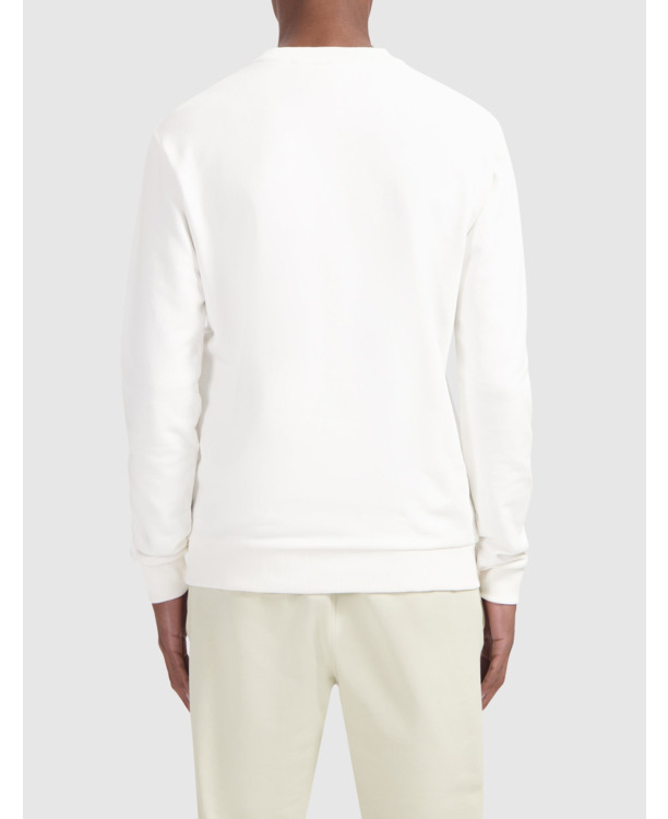 Be ALL IN Sweater 100% Cotton Men