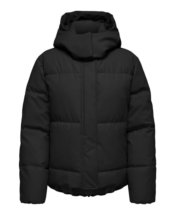 Spread Collar Long Sleeves (L/S)