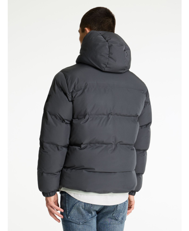 Chasin Heren Jas Nebula