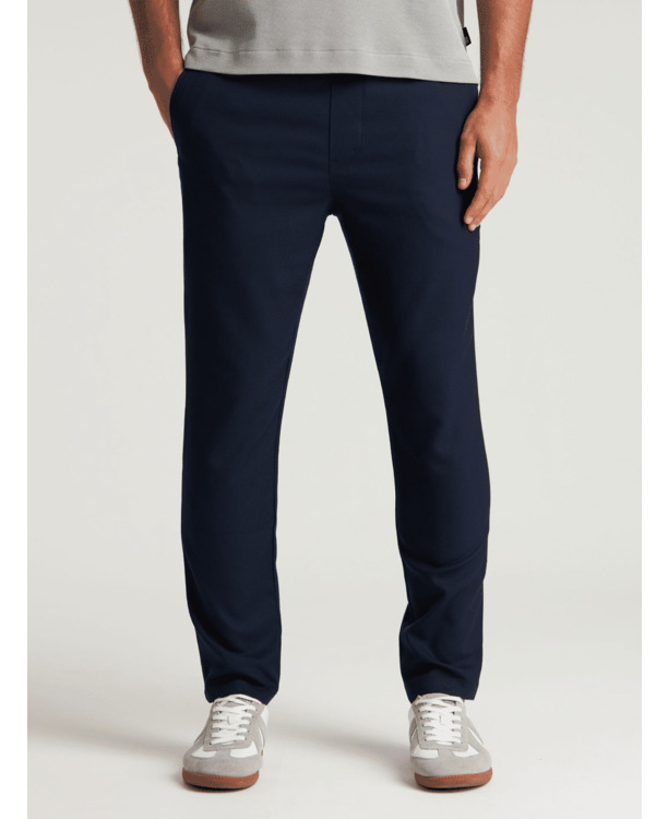 Chasin Heren Broeken Stone L Anzar