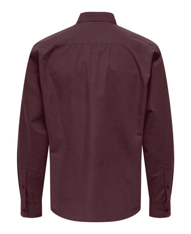 Regular Fit Shirt Collar Long Sleeves (L/S)