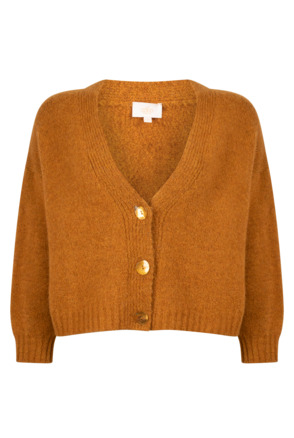 Aaiko Dames Wol Viscose Acrylic Cardigan Oliegeel