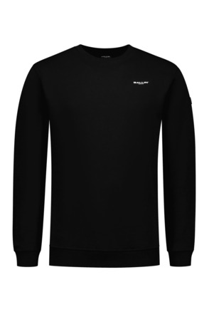 Originele Logo Sweater 100% Katoen Mannen