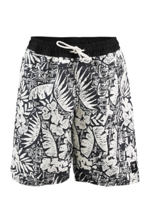 Swim Shorts Coast