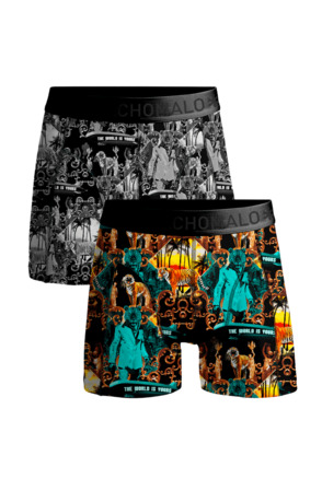 Jongens 2-Pack Boxershorts Montana Print/Print