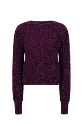 Aaiko Dames Trui Winter Bloom 192620