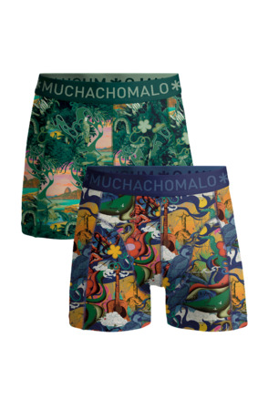 Heren 2-Pack Boxershorts Rio Print/Print