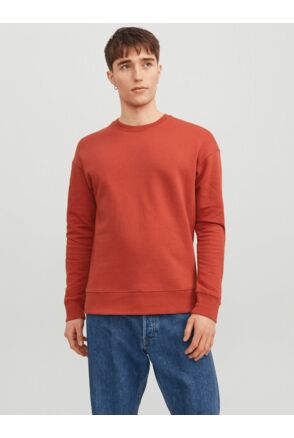 JJESTAR BASIC SWEAT CREW NECK NOOS