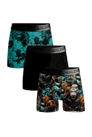 Men 3-Pack Boxer Shorts Print/Print/Solid