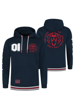 USA Hoodie 2025 - Max Verstappen
