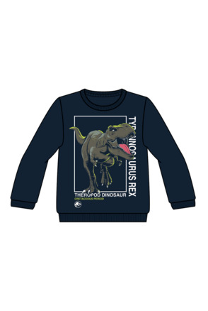 Regular Fit O-Neck Long Sleeves (L/S)