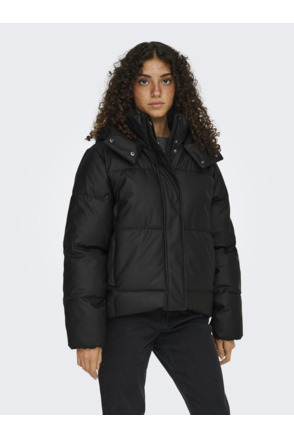 Spread Collar Long Sleeves (L/S)