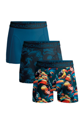 Men 3-Pack Boxer Shorts Print/Print/Solid