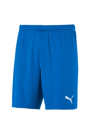 teamGOAL 23 knit Shorts Electric Blue L