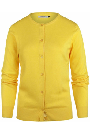 Steppin' Out Vest Cashmere Dames Geel