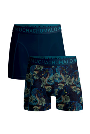 Heren 2-pack Boxershorts print/effen Print/Blue