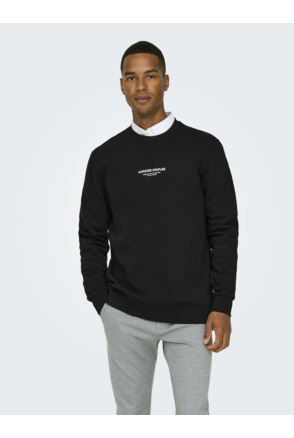 Regular Fit Crew Neck Lange Mouwen (L/S) Heren