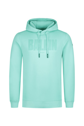 HD Print Logo Hoodie Mannen