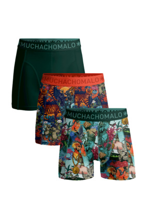 Jongens 3-pack Boxershorts Birdcat Print/Print/Green