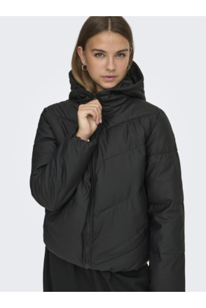 Hood Long Sleeves (L/S)