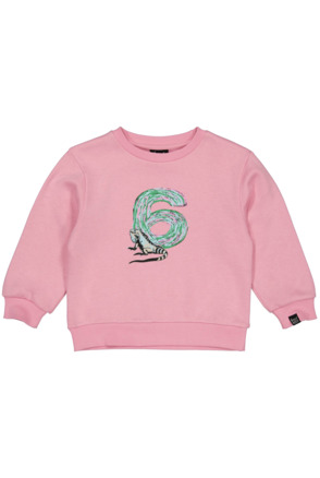 HOFABDAYSW06 Sweater Uni
