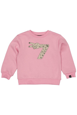 HOFABDAYSW07 Sweater Uni