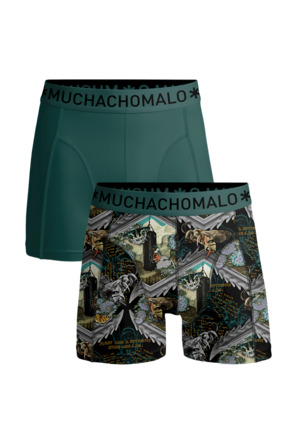 Herenset van 2 boxershorts Muhammad Ali Experience Print/Green