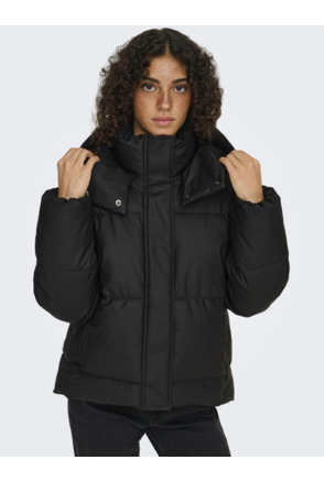 Spread Collar Long Sleeves (L/S)