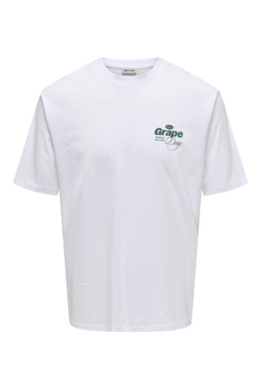 ONSALFRESCO RLX SS TEE