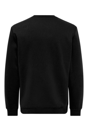 Regular Fit Crew Neck Lange Mouwen (L/S) Heren