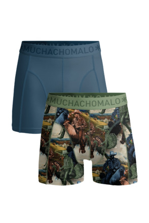 Jongens 2-Pack Boxershorts Print/Effen Print/Blue