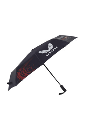 Red Bull Racing paraplu