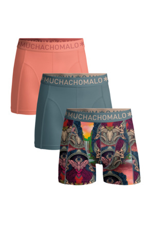 Jongens 3-Pack Boxershorts Print/Effen Print/Blue/Pink