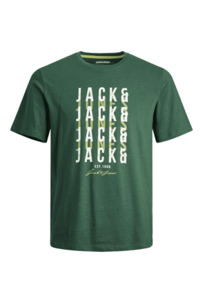 JJDELVIN TEE SS CREW NECK