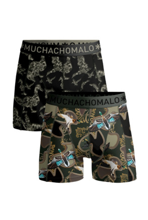 Heren 2-Pack Boxershorts Man Eend Print/Green