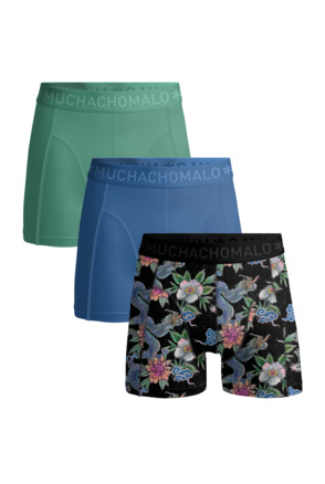 Heren 3-Pack Boxershorts Print/Effen Print/Blue/Green