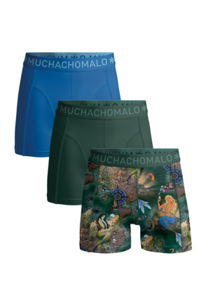 Jongens 3-Pack Boxershort Print/Effen Print/Green/Blue