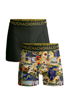 Heren 2-pack Boxershorts Baretta Blauw Hawai Print/Green