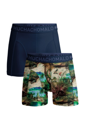 Heren 2-Pack Boxershort Print/Effen Print/Blue