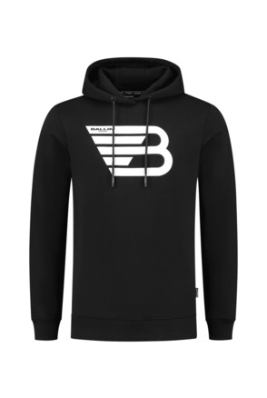 Original Icon Logo Print Hoodie