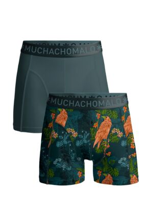 Men 2-pack Boxer Shorts print/solid