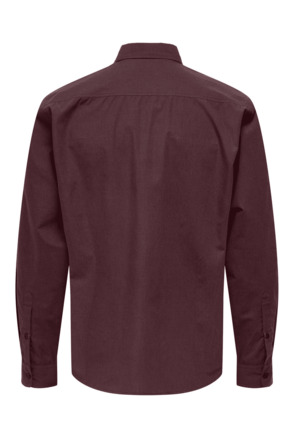 Regular Fit Shirt Collar Long Sleeves (L/S)